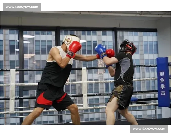 从零基础到赛场实战全面解析如何参加正规拳击比赛流程训练报名规则与注意事项
