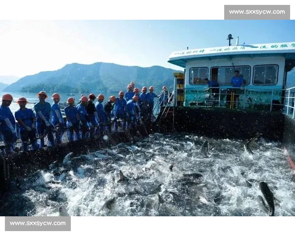 聚焦真人捕鱼比赛热潮探索竞技技巧与娱乐魅力新高度全景解析赛制与策略