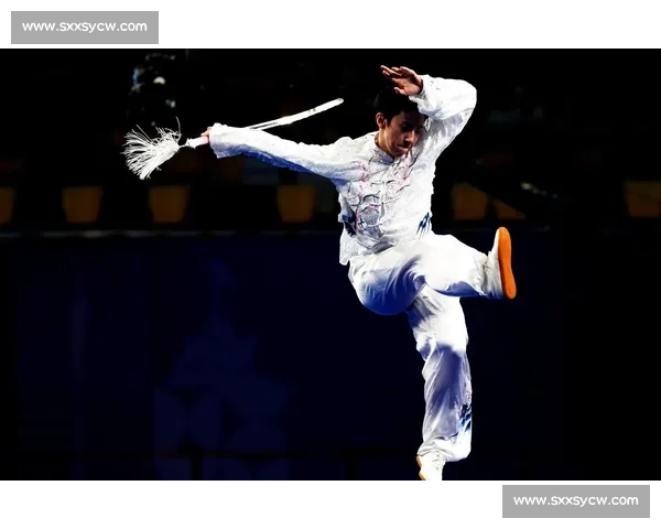以太极拳比赛冠军精彩演绎传统武术精髓展现力量与柔韧完美结合