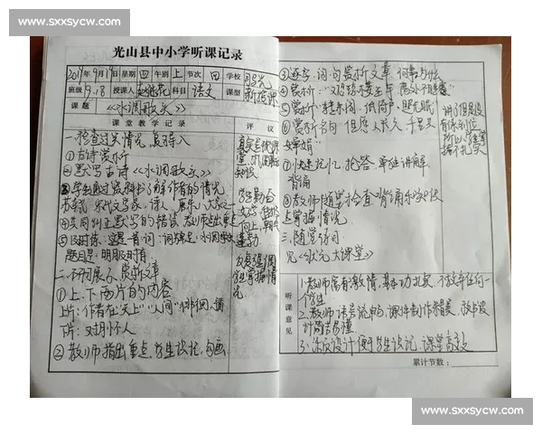 以思想之光点亮表达舞台的PPT演讲创新之旅与逻辑美学融合实践成长